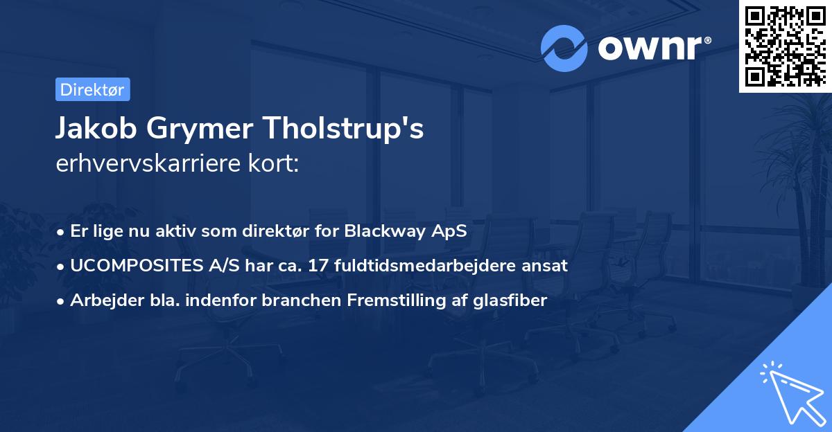 Jakob Grymer Tholstrup's erhvervskarriere kort