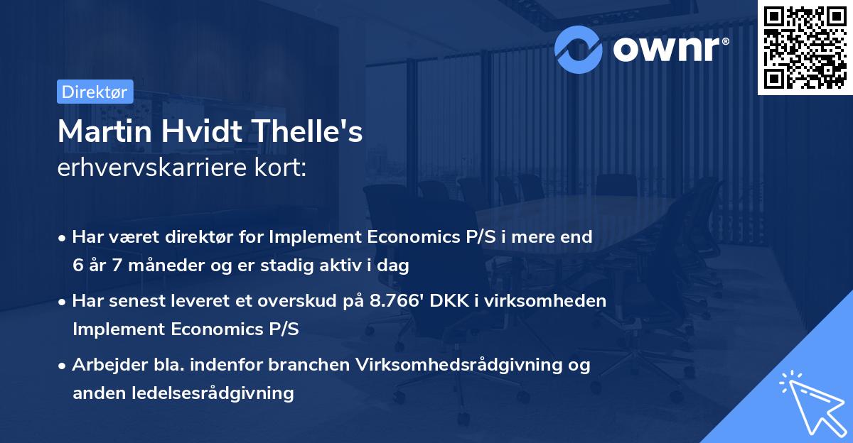 Martin Hvidt Thelle's erhvervskarriere kort