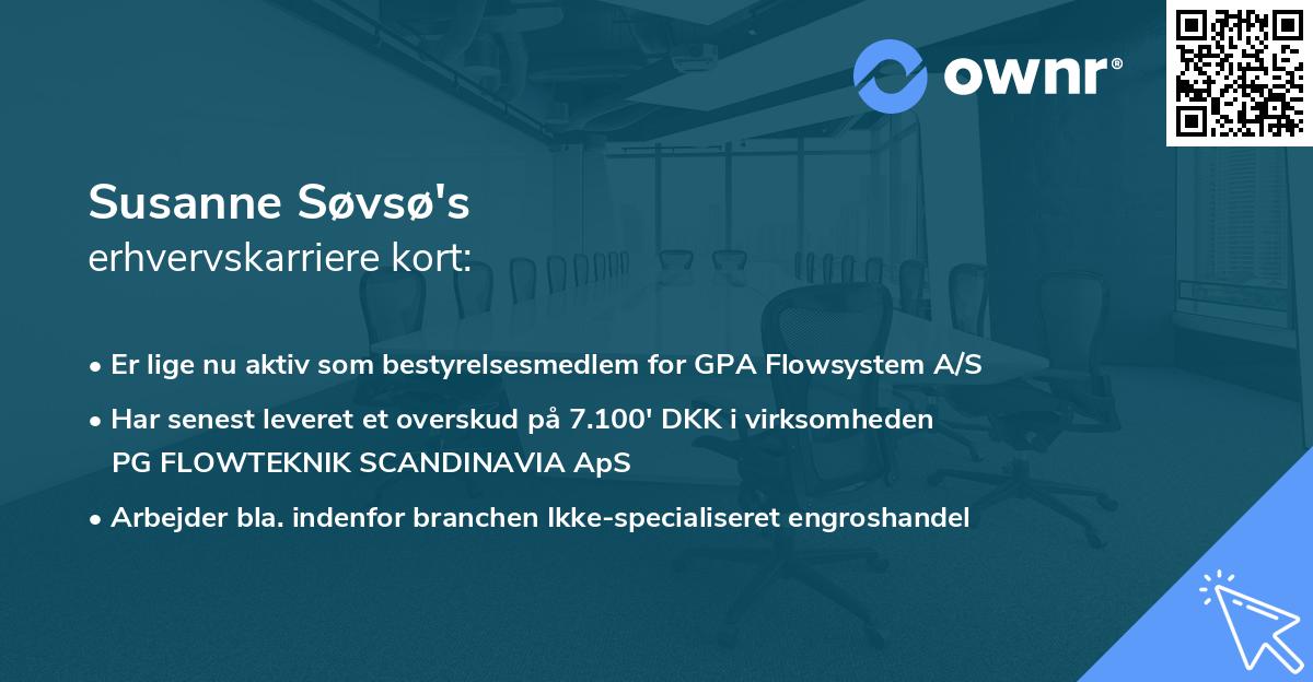 Susanne Søvsø's erhvervskarriere kort