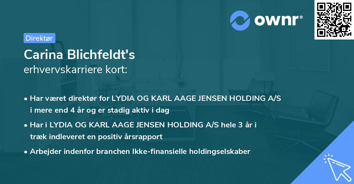 Carina Blichfeldt's erhvervskarriere kort