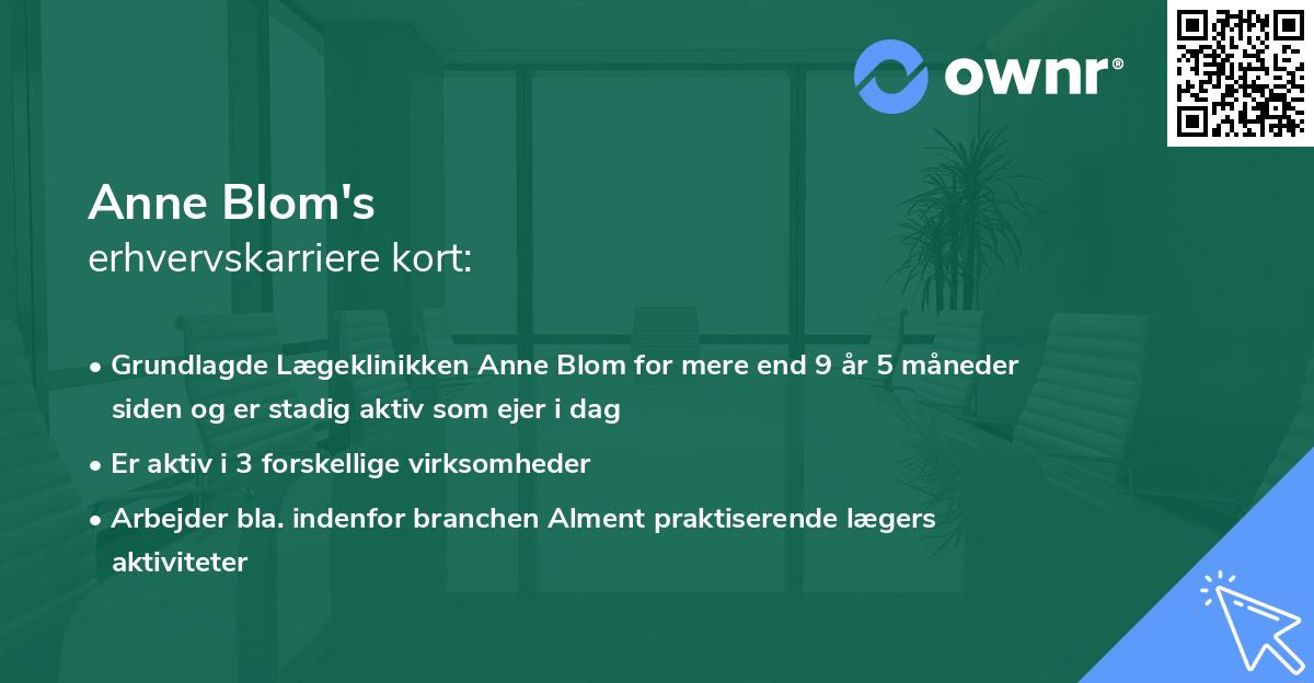 Anne Blom's erhvervskarriere kort