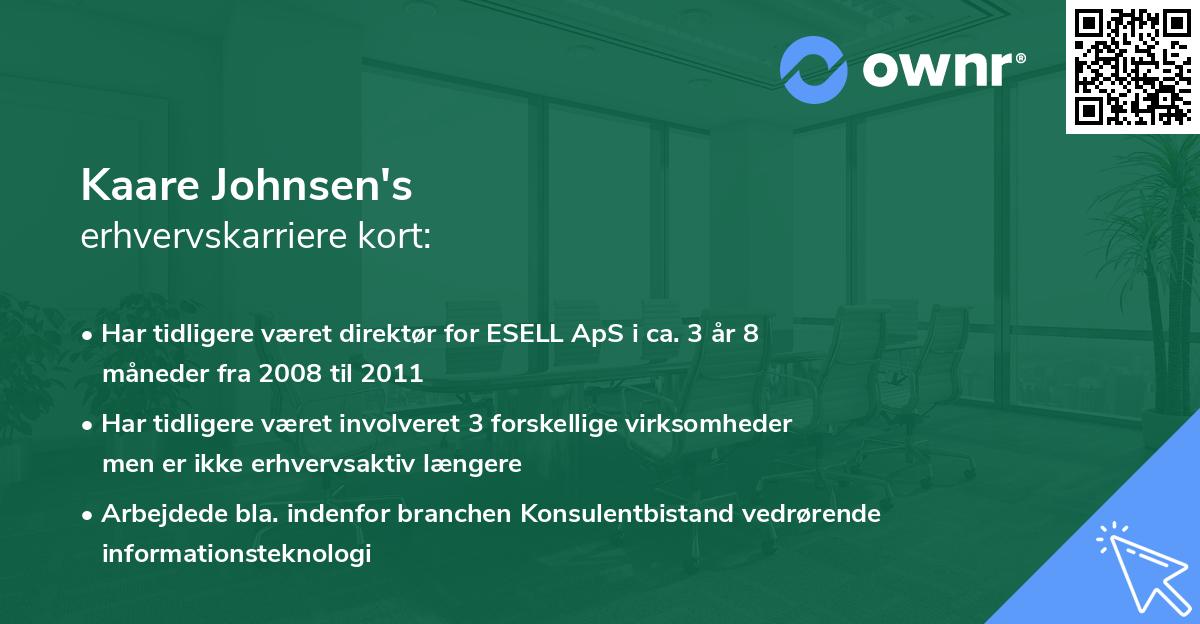 Kaare Johnsen's erhvervskarriere kort