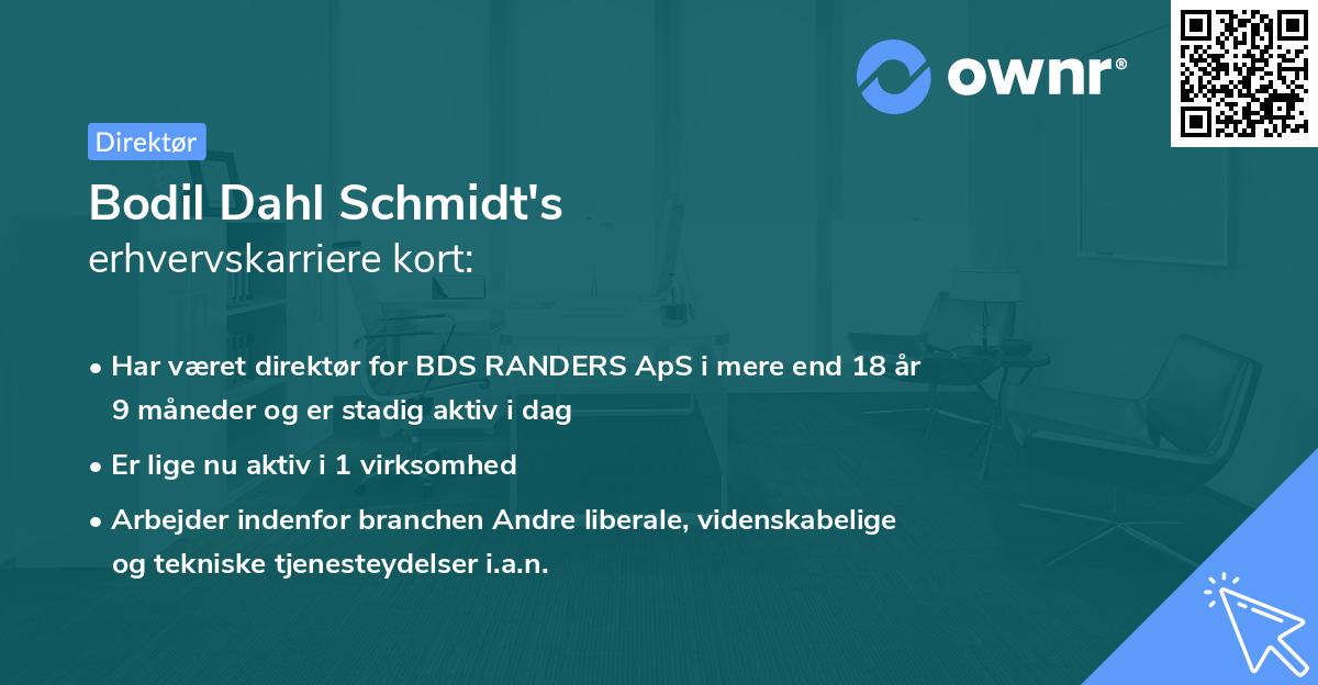 Bodil Dahl Schmidt's erhvervskarriere kort