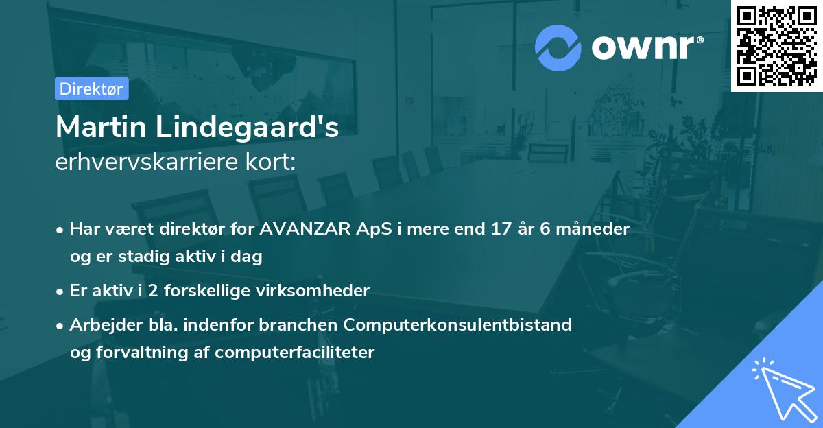 Martin Lindegaard's erhvervskarriere kort