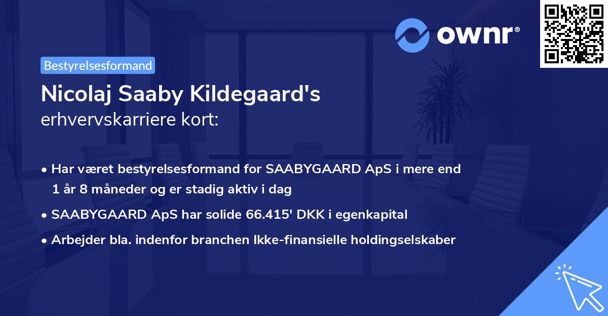 Nicolaj Saaby Kildegaard's erhvervskarriere kort