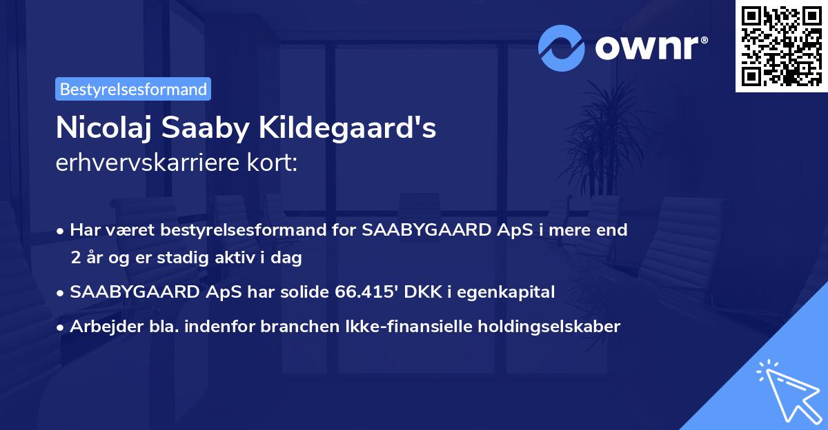 Nicolaj Saaby Kildegaard's erhvervskarriere kort