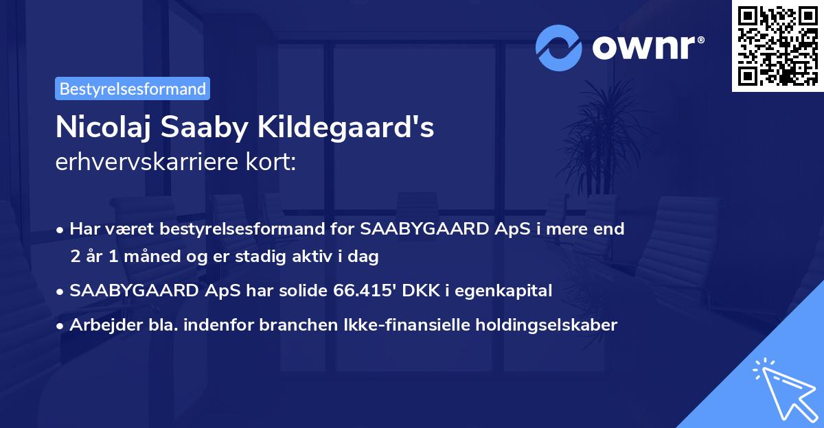 Nicolaj Saaby Kildegaard's erhvervskarriere kort