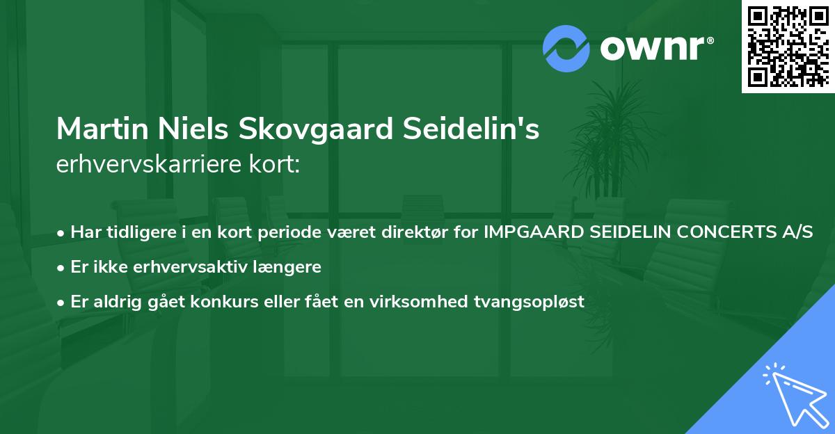 Martin Niels Skovgaard Seidelin's erhvervskarriere kort
