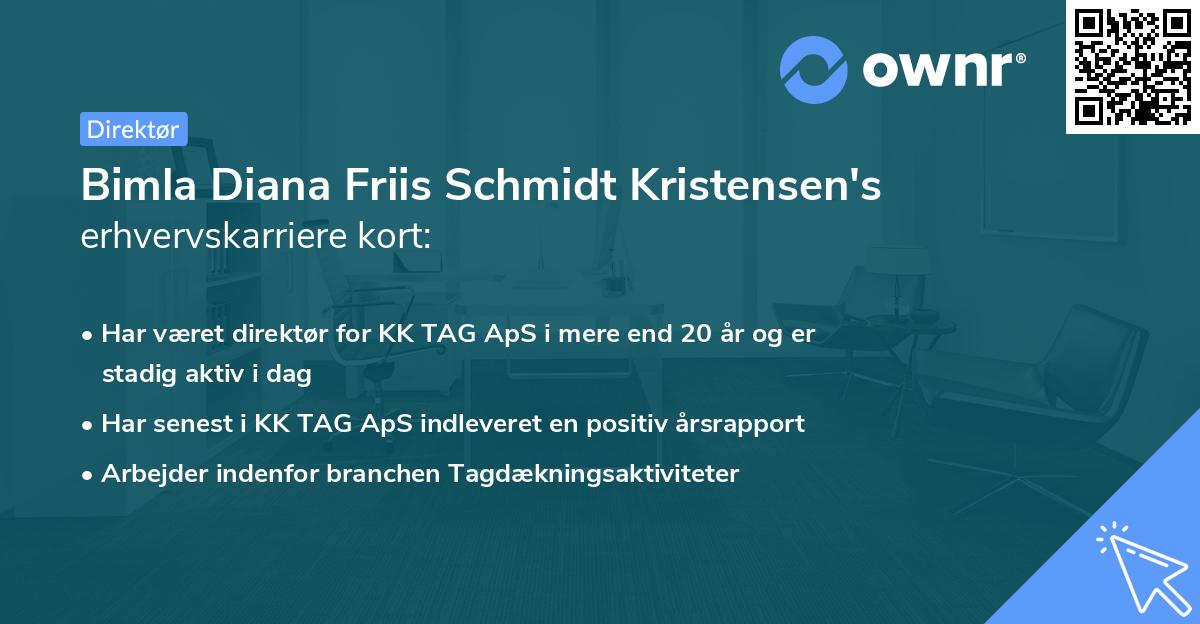 Bimla Diana Friis Schmidt Kristensen's erhvervskarriere kort