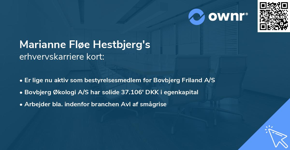 Marianne Fløe Hestbjerg's erhvervskarriere kort