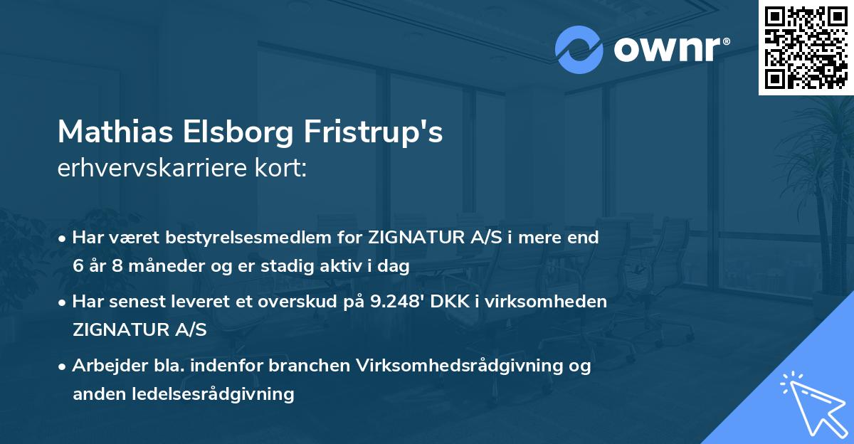 Mathias Elsborg Fristrup's erhvervskarriere kort