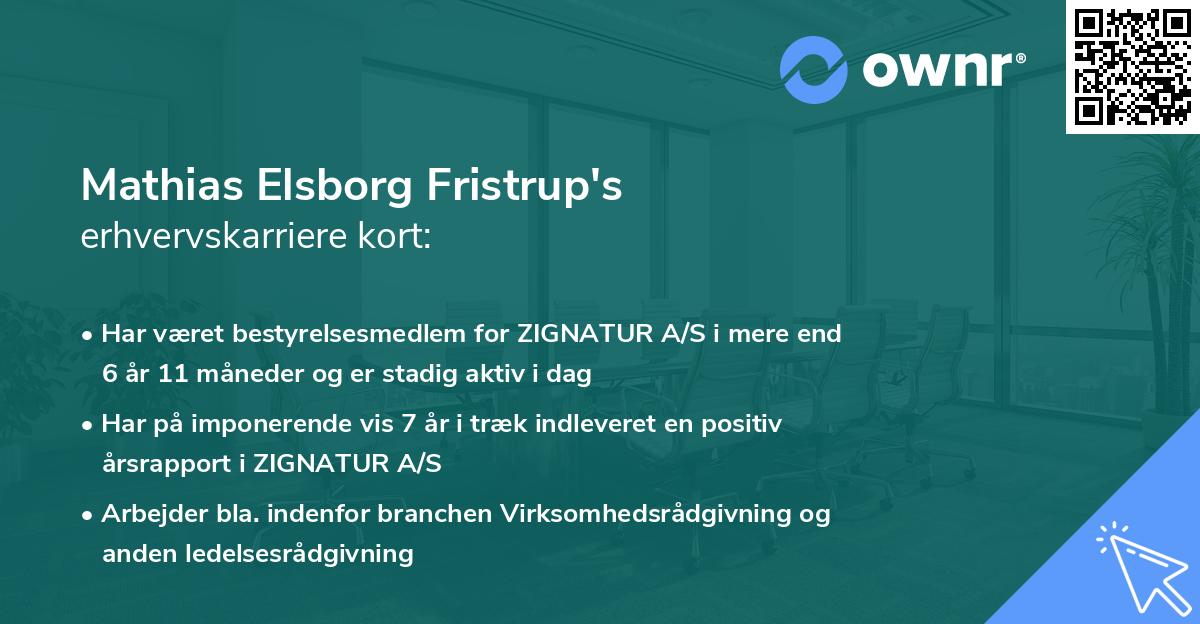 Mathias Elsborg Fristrup's erhvervskarriere kort