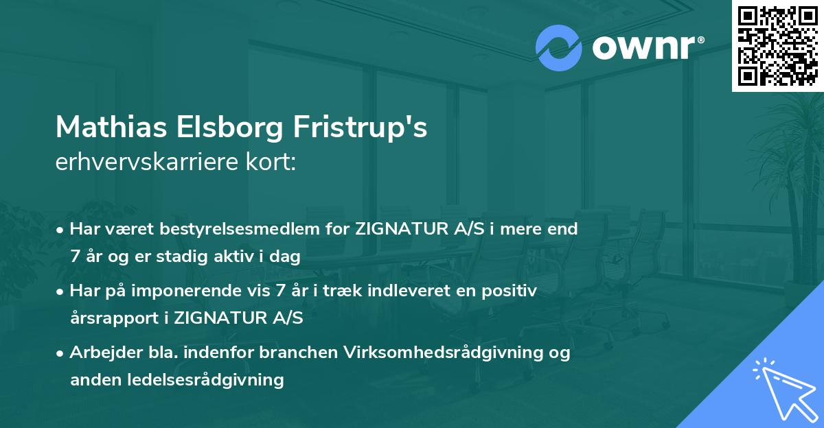 Mathias Elsborg Fristrup's erhvervskarriere kort