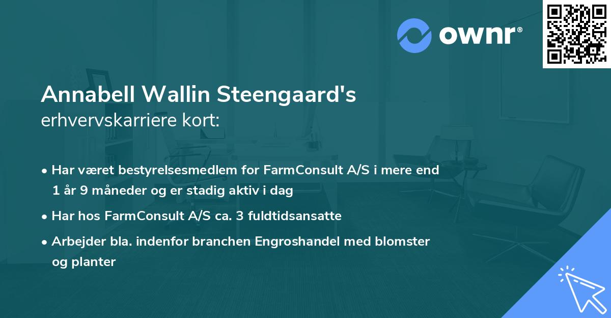 Annabell Wallin Steengaard's erhvervskarriere kort