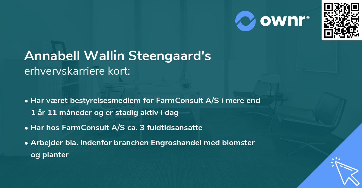 Annabell Wallin Steengaard's erhvervskarriere kort