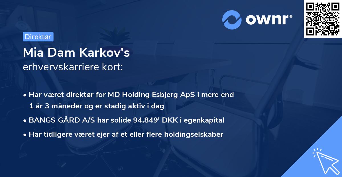 Mia Dam Karkov's erhvervskarriere kort