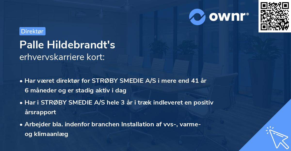 Palle Hildebrandt's erhvervskarriere kort