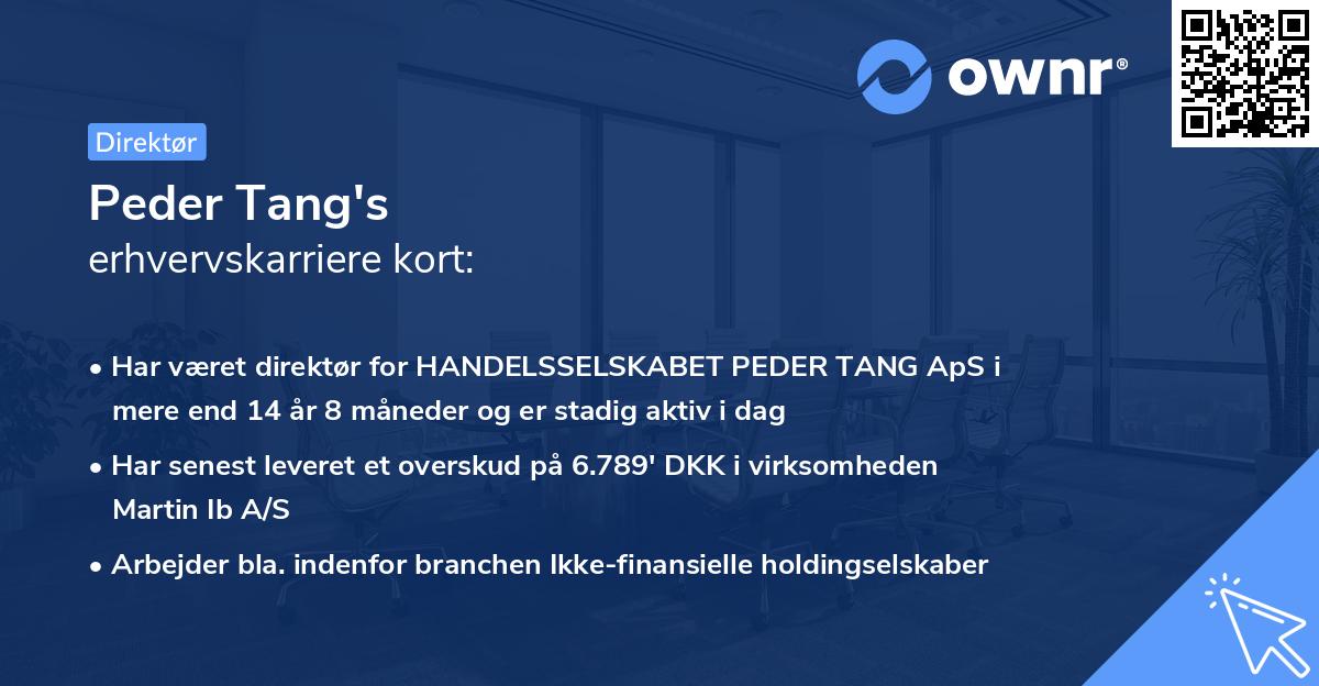 Peder Tang's erhvervskarriere kort