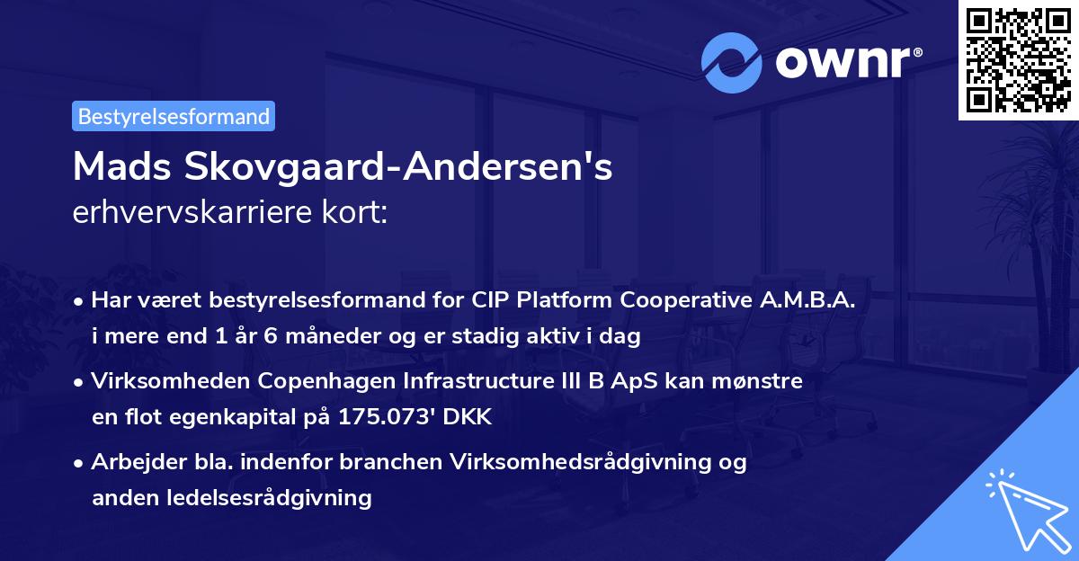 Mads Skovgaard-Andersen's erhvervskarriere kort