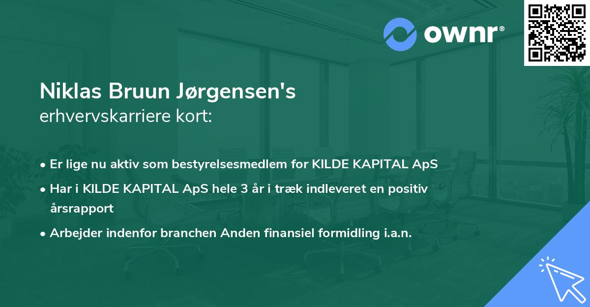 Niklas Bruun Jørgensen's erhvervskarriere kort