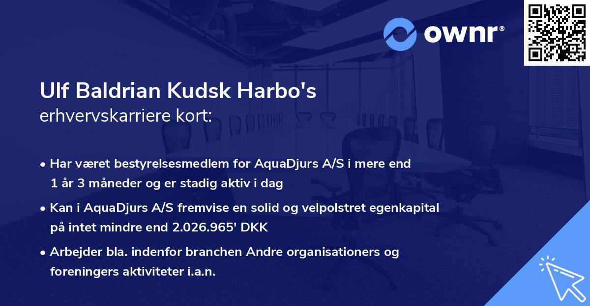 Ulf Baldrian Kudsk Harbo's erhvervskarriere kort