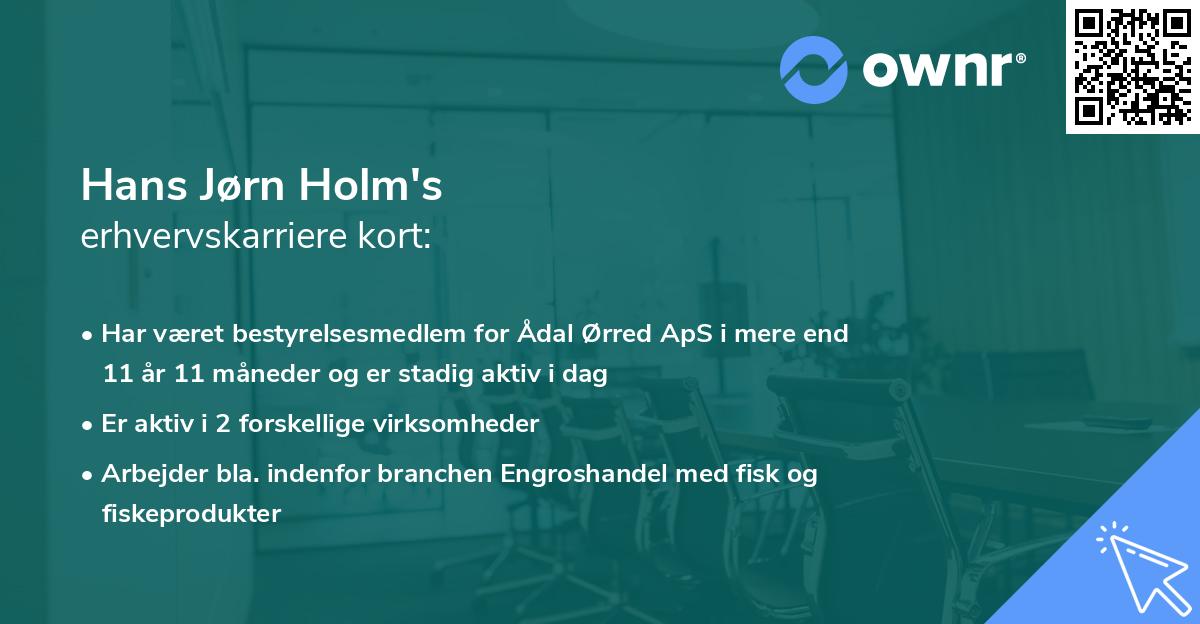Hans Jørn Holm's erhvervskarriere kort