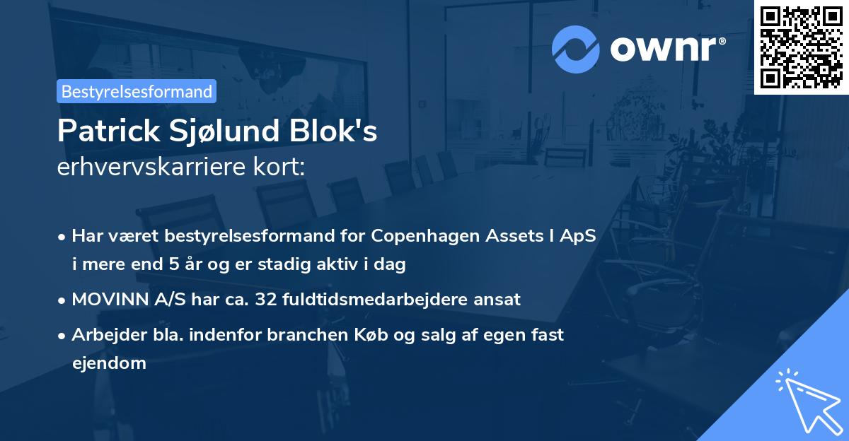 Patrick Sjølund Blok's erhvervskarriere kort