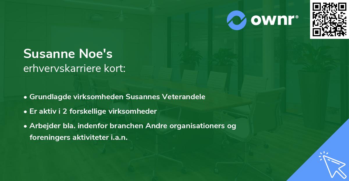 Susanne Noe's erhvervskarriere kort
