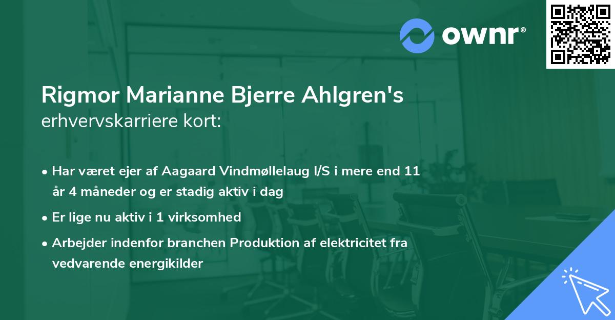Rigmor Marianne Bjerre Ahlgren's erhvervskarriere kort