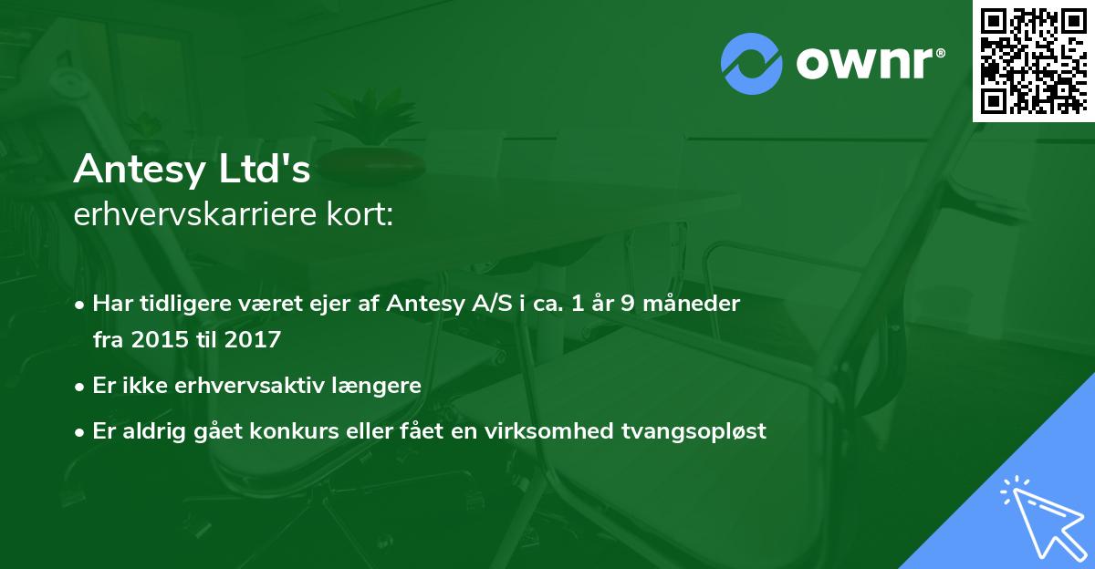 Antesy Ltd's erhvervskarriere kort