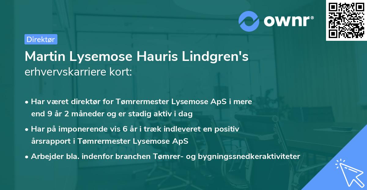 Martin Lysemose Hauris Lindgren's erhvervskarriere kort