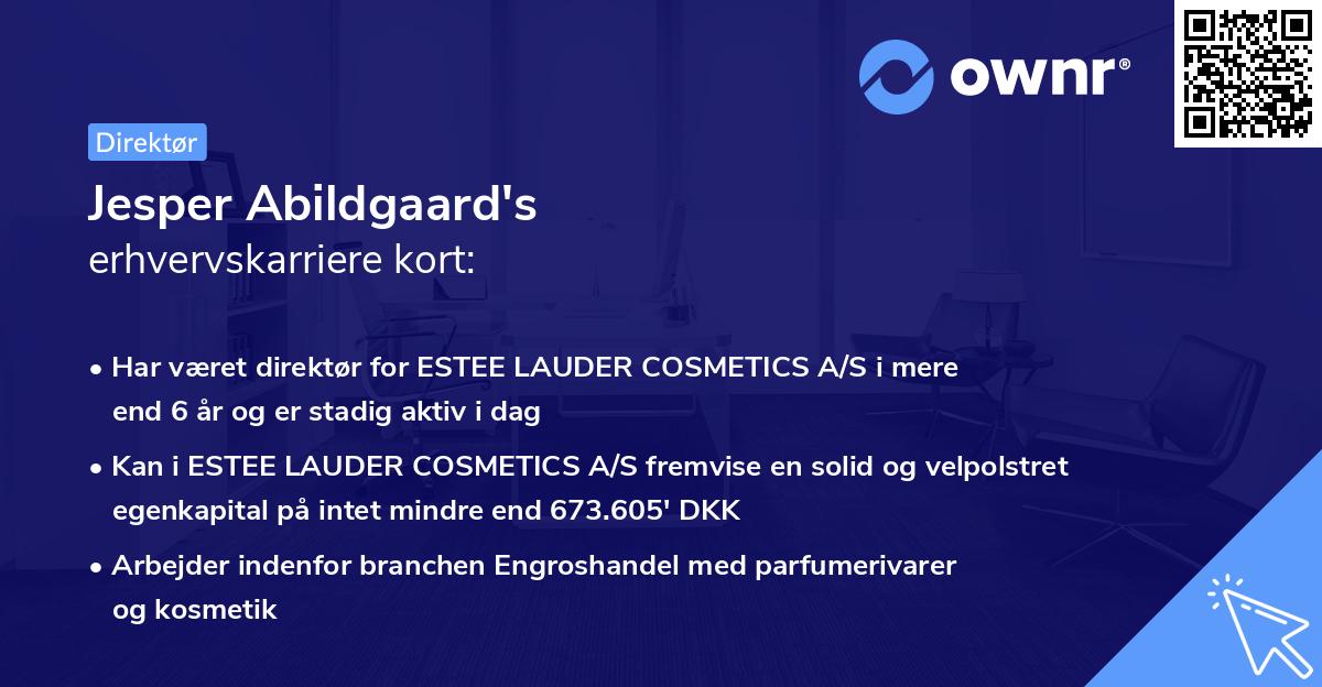 Jesper Abildgaard's erhvervskarriere kort