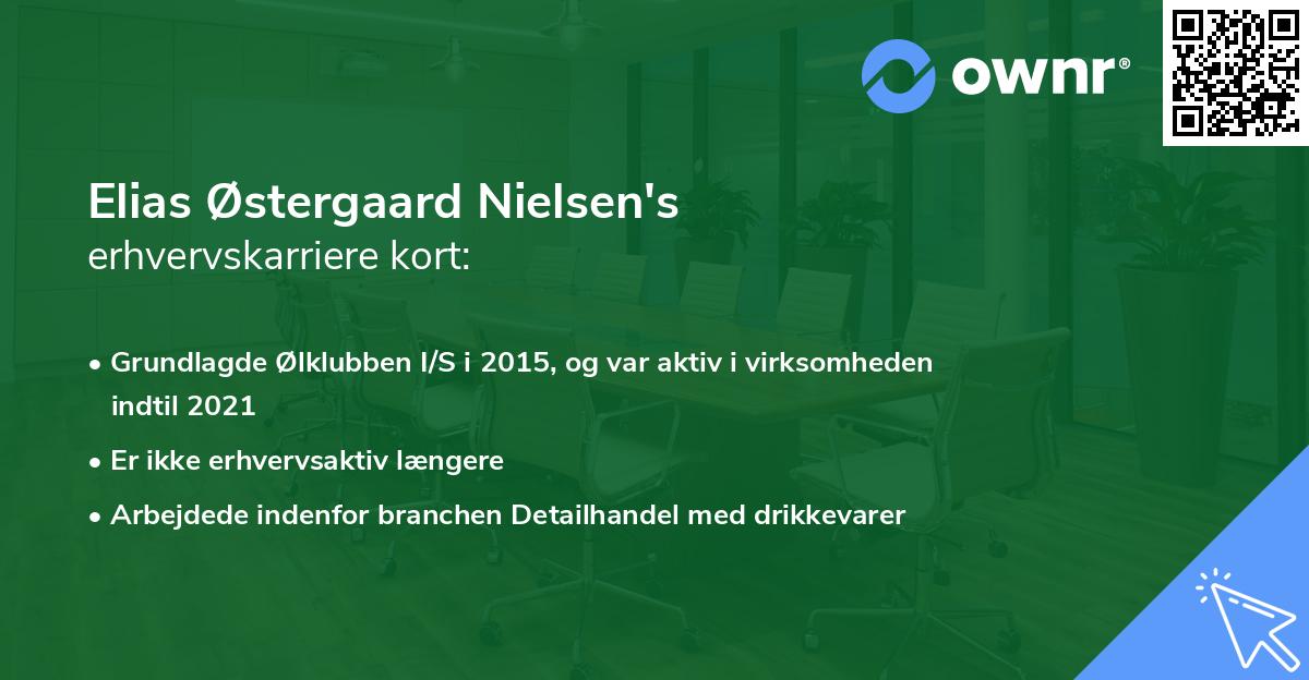 Elias Østergaard Nielsen's erhvervskarriere kort