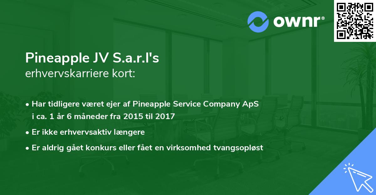Pineapple JV S.a.r.l's erhvervskarriere kort