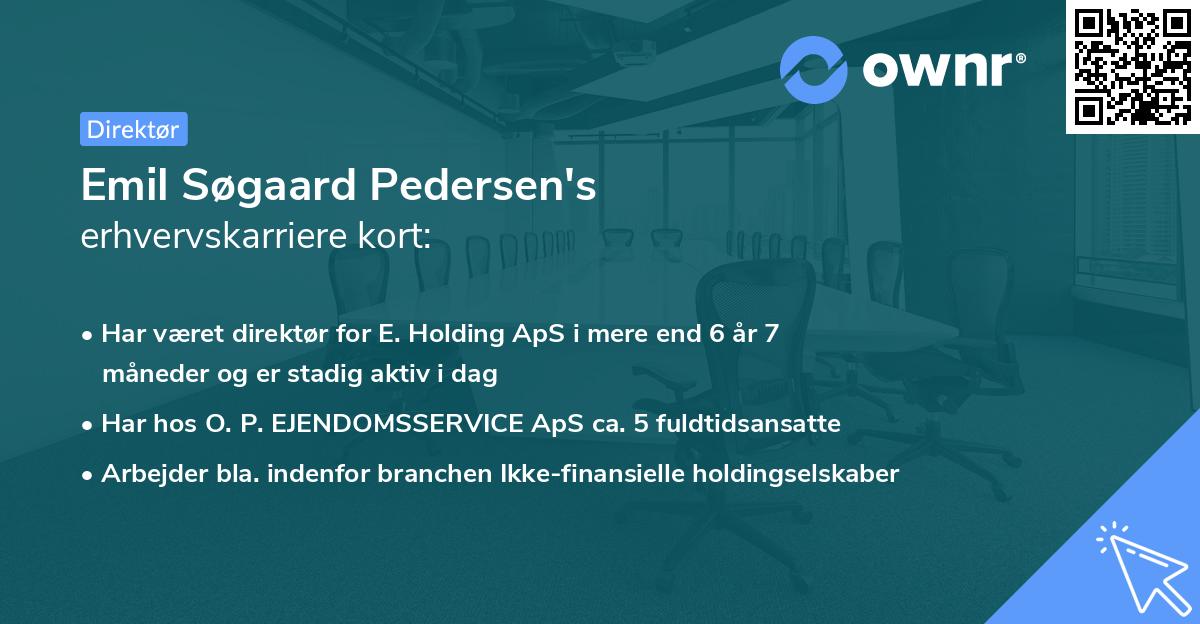 Emil Søgaard Pedersen's erhvervskarriere kort
