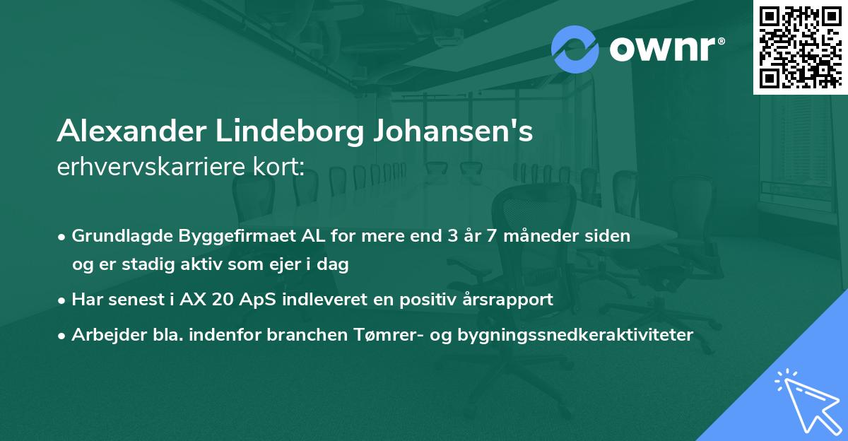 Alexander Lindeborg Johansen's erhvervskarriere kort