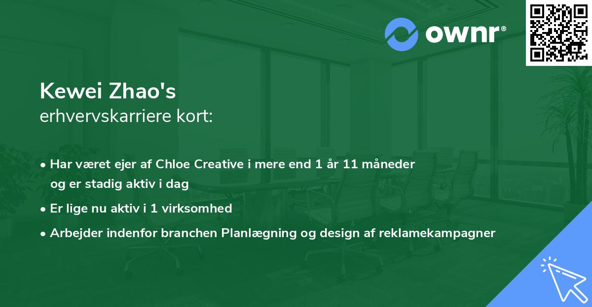 Kewei Zhao's erhvervskarriere kort