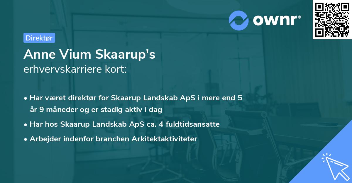Anne Vium Skaarup's erhvervskarriere kort