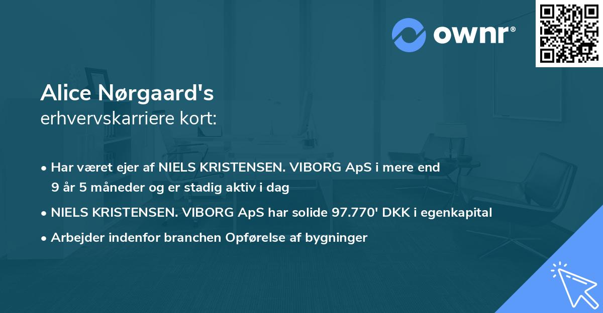 Alice Nørgaard's erhvervskarriere kort