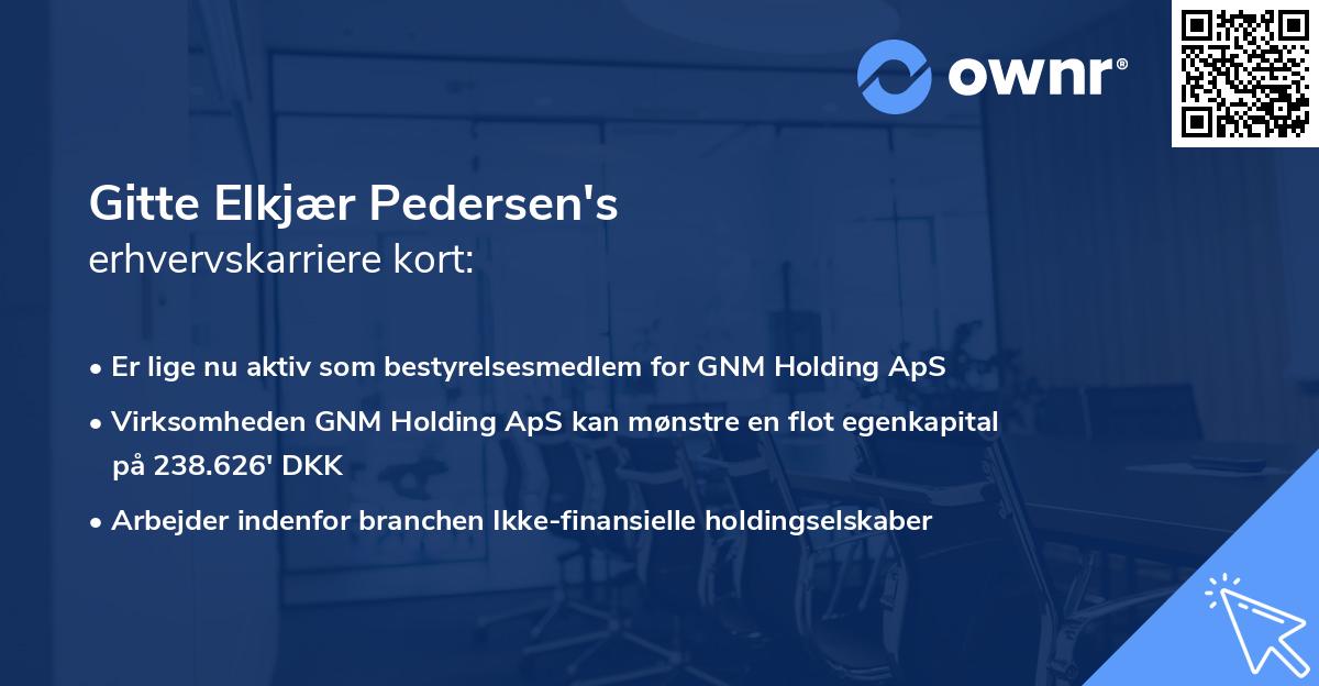 Gitte Elkjær Pedersen's erhvervskarriere kort