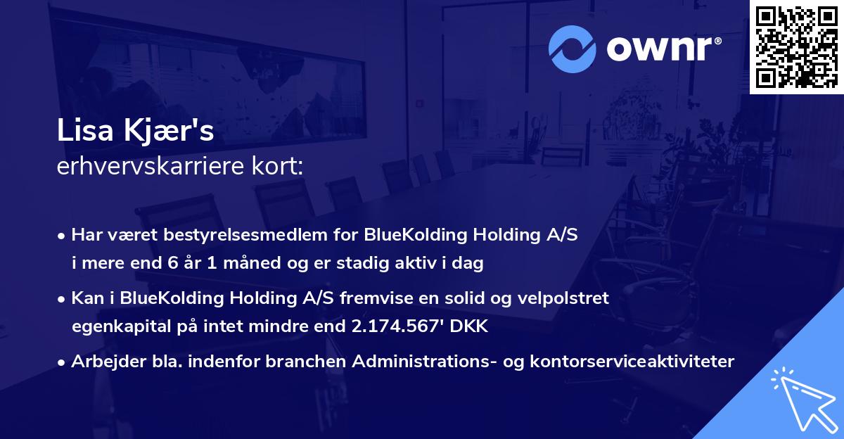 Lisa Kjær's erhvervskarriere kort