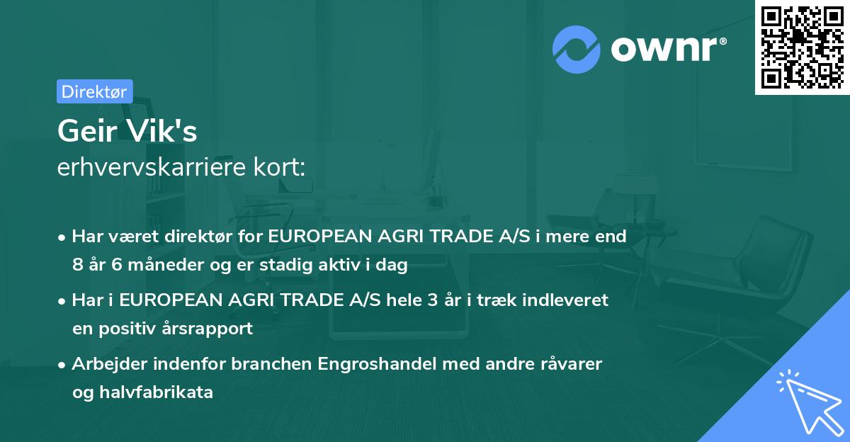 Geir Vik's erhvervskarriere kort