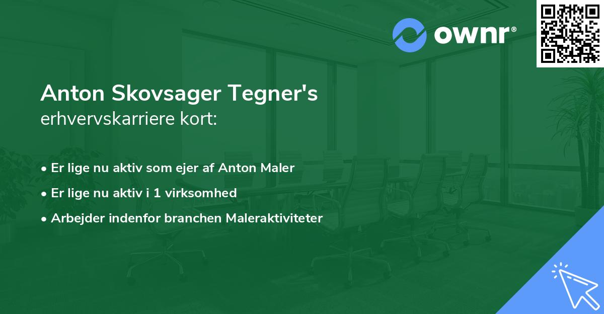 Anton Skovsager Tegner's erhvervskarriere kort