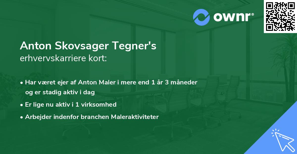 Anton Skovsager Tegner's erhvervskarriere kort