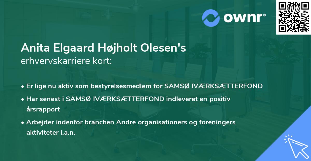 Anita Elgaard Højholt Olesen's erhvervskarriere kort
