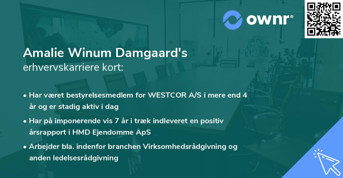 Amalie Winum Damgaard's erhvervskarriere kort