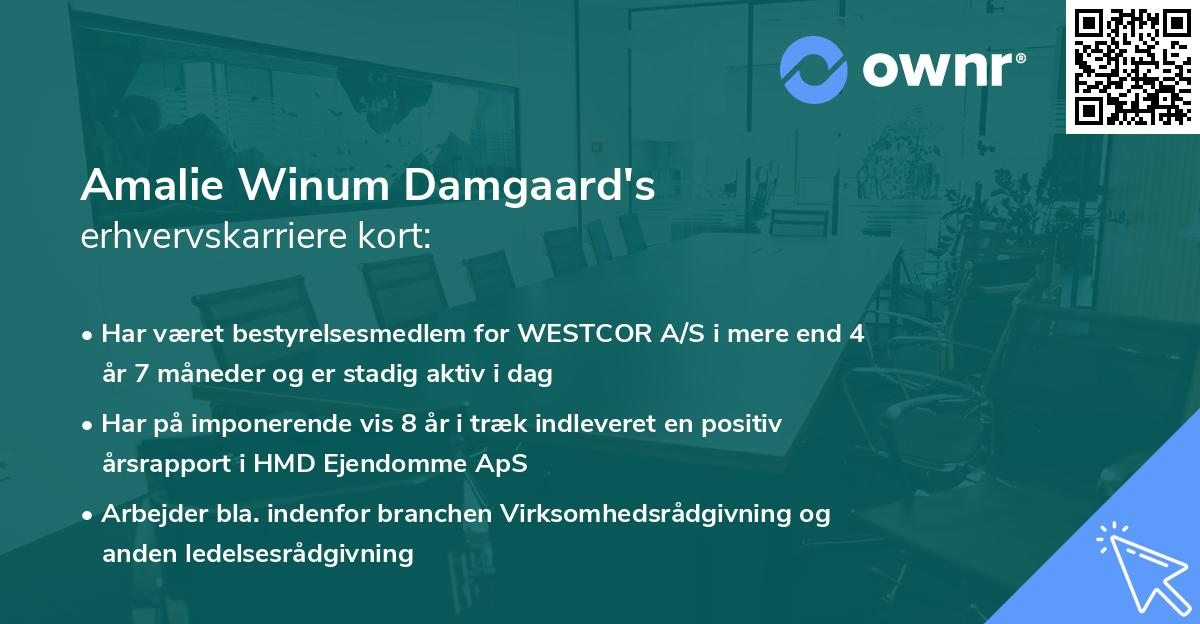 Amalie Winum Damgaard's erhvervskarriere kort