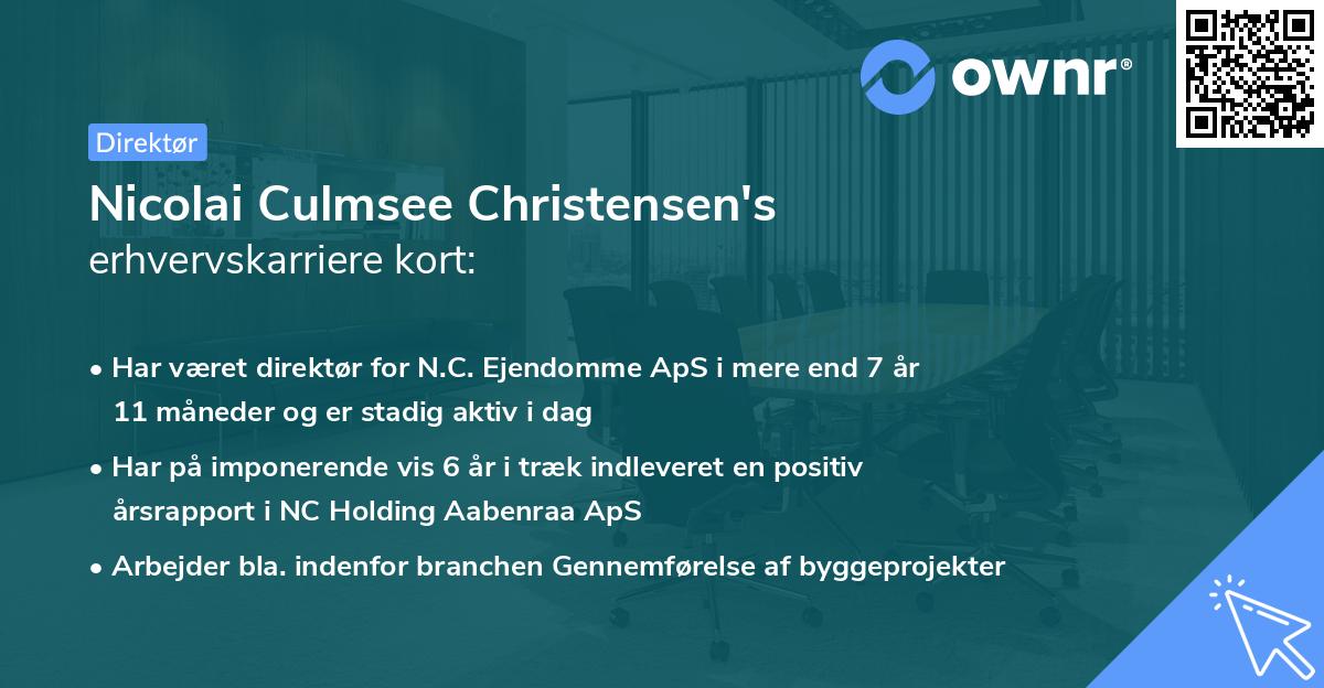 Nicolai Culmsee Christensen's erhvervskarriere kort