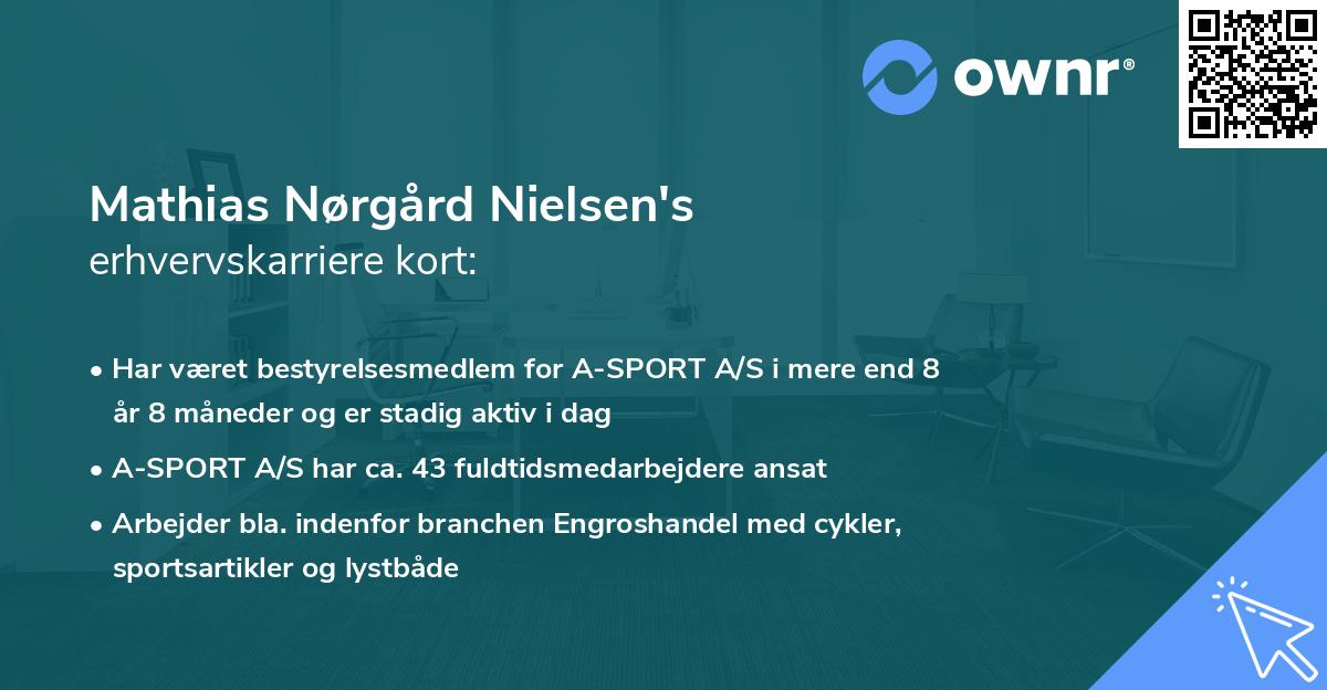 Mathias Nørgård Nielsen's erhvervskarriere kort