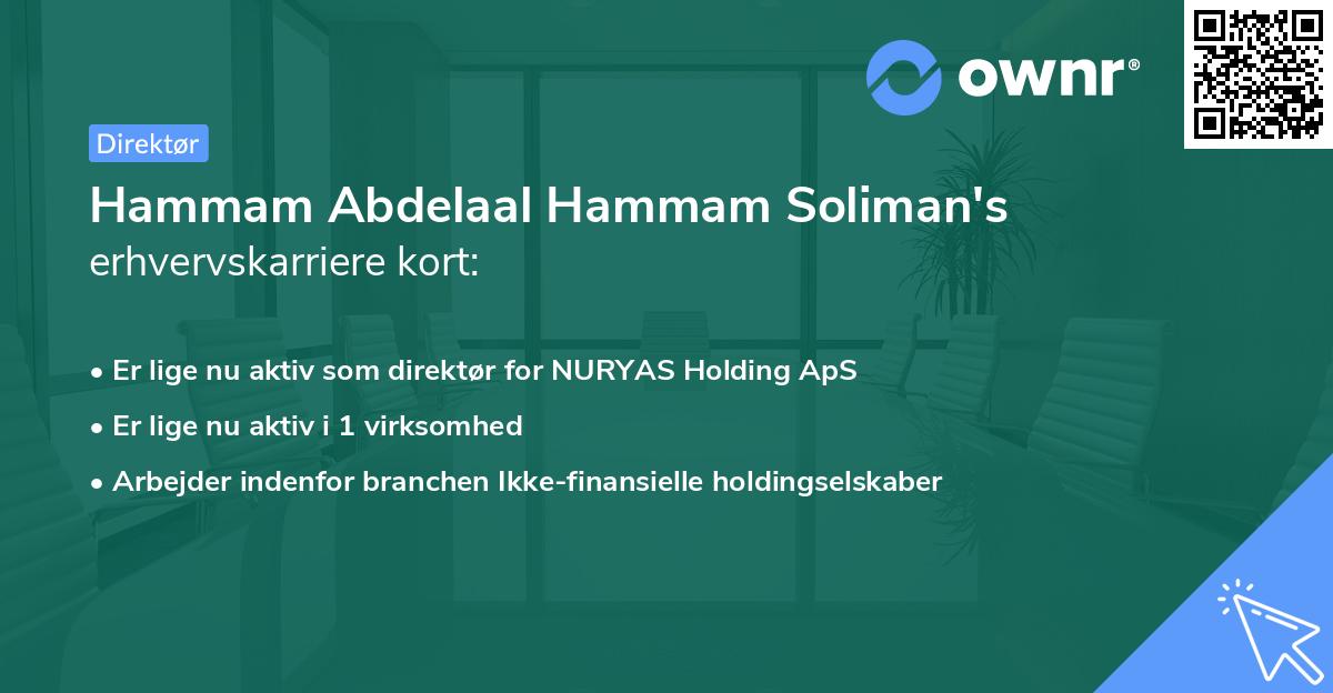 Hammam Abdelaal Hammam Soliman's erhvervskarriere kort